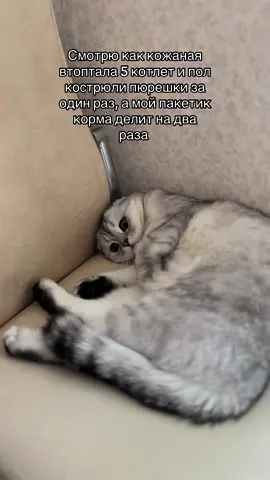 С сахаром#рекомендации 