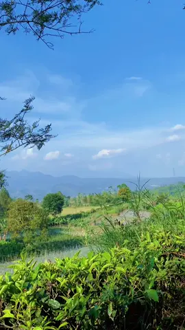 Mashaallah😍 #alamliar#rxking #kebunteh #fyppppppppppppppppppppppp #mashaallah 