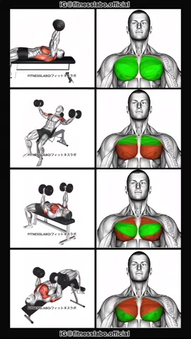 ✅Chest Workout using Dumbbell  ① Around Pullover  ② Incline Twist Fly  ③ Hammer Press ④ Decline Press 3 sets 10 reps  #Fitness #gym #exercise  #workout #workoutroutine  #exercisetips  #fitnesstips  #bodybuilding  #chest #chestworkout