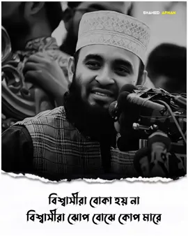 বিশ্বাসীরা বোকা হয় না..!!❤️‍🩹🌺 #mizanurrahmanazhari #foryou #fyp #foryoupage #viral #islamic  #islamic_media #islamic_video #banglawaz #trending #waz #islamicvideo #shahedafnan04 