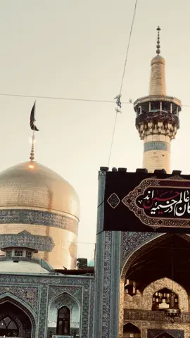 #ياعلي_ابن_موسى_الرضا #الامام_الرضا_عليه_السلام #علي_الوائلي #مشهد #انيس_النفوس #2024 