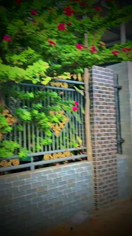 Cái thằng đăng sau nè nó làm cái ch! gì trời 😅🩷🇻🇳🇲🇾✈️#xuhuong #xuhuongtiktok #siriusđộkiểng #xuhuongtiktok2024 #kietmio 