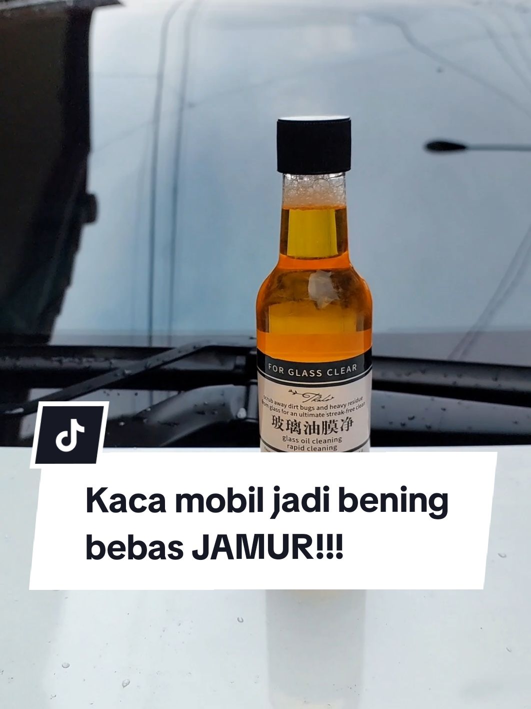 lagi cari cairan pembersih jamur kaca mobil? Pake ini aja! Tinggal ganti air wipernya, kaca mobil jadi bening, bebas jamur dan bonus efek daun talas.  Tonton videonya sampai habis ya!  #airwiper #jamurkacamobil #cairanpembersihjamurkacamobil #CapCut 