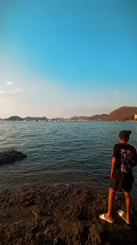 fyp