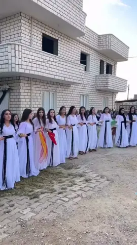 XEMLU CİL Û BERGÊN BATYANÎ 🍁#batüyanlarasireti #keşfetbeniöneçıkar #cizre #silopi #şırnak #şırnak #keşfet #fypp #halaybaşı #dügünler #aşiretdüğünleri #keşfetteyizzz #batuyanlılaraşireti #dugundernek 