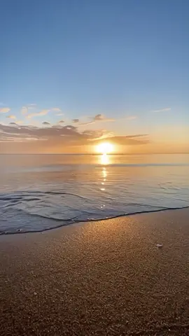 🗿 #fypage #meme #memetiktok #memevideo #memeindonesia #memereceh #memengakak #memelucu #memerandom #asupanmeme #funnymemes #funnyvideos #humortiktok #xyzbca #foryoupage 