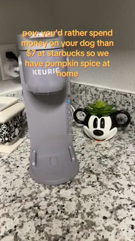 love the iced function on this keurig🤍🤍🤍#cute #dog #chihuahua #chihuahuastiktok #dogmom #dogsoftiktok #cutedog #doglover #puppy #doglife #coffee #keurig #icedcoffee #pumpkinspice #pumpkinseason 