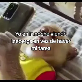 Y siempre termino haciendo mi tarea bien tarde o en la escuela JAKAJSKS 😭 #fyp #iceberg #mono #elicebergdepou #escuela #odiolatarea 
