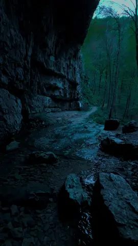 🩶🩶🩶#nature #calm #darkaesthetic #naturephotography #foryou #aesthetic #relax 