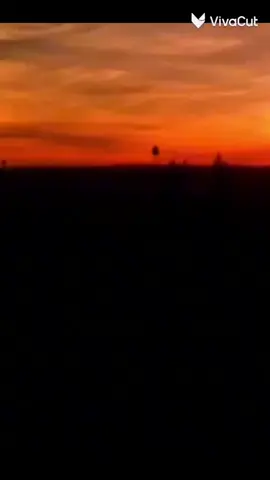 خلاص ما عاد له داعي الهوجاسي#TikTok 