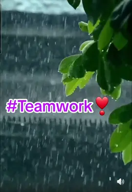 Teamwork ❤️ #teamwork #fyp #10k #foryou #growmyaccount #teamworkmakesthedreamwork #viral #roadto10kfollowers #10ktrend #under10k #teamworkchallenge #followtrain #teamworktrend #grow #foryoupage #tiktok #roadto10k😍 #growth #teamwork10k #10000 #moots #moots? #moots?? #follow #blowthisup #blowthisupforme 
