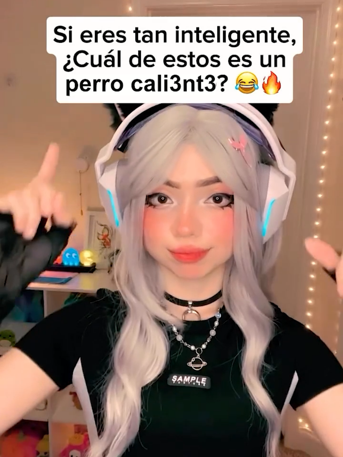 adivina cual es el perro cali3nt3 😏🔥 #humor #preguntas #parati #perros #test #hotdog #comedia #memes #tiktokhumor #fyp