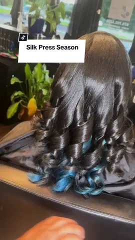 Peek-a-Boo color is the best when wanting a pop of color!! #silkpress #silkpressseason #peekaboocolor #peekaboo #colorist #haircolorist #bluecolor #hairstylist #naturalhairstyles #hairtiktok #naturalhairstylist #stockbridgega #ellenwoodga #atlantaga