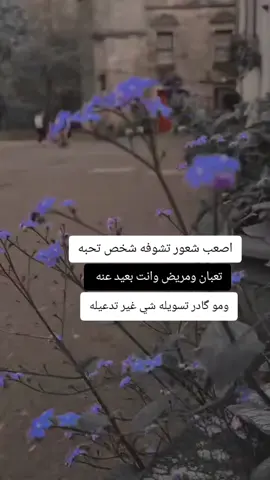 #اللهم_احفظه_بعينك_التي_لا_تنام #اللهم_امين 