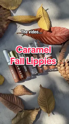 Caramel Fall Lippies🍂🍁 @moiracosmetics  @LottieLondon  @Milani Cosmetics  @Palladio Beauty  @Jouer Cosmetics  @Tower 28 Beauty  #falllippies #falllipcombo #falllipgloss #falllips #falllipcomboblackgirl #falllipcolors #jouer #tower28 #lottielondon #falllipoil 