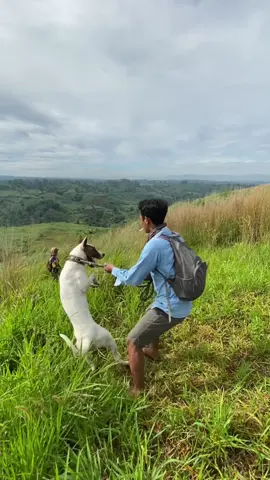 Punten soundna 🔊💯  #porbisumbar #porbimarenten #burualek #porbijabar #gadismarenten #reels #fyp #firal #anjingpintar #alamyangindah #penikmatproses #berburubabihutan #katakatamotipasi #anjingvsbabihutan #fbpro #hamababihutan #coachcacan #anjingpintar #anjingjinak #anjingpemburu #anjingviral #pitbul #bullterier #rasteril #viral #katamotipasi 