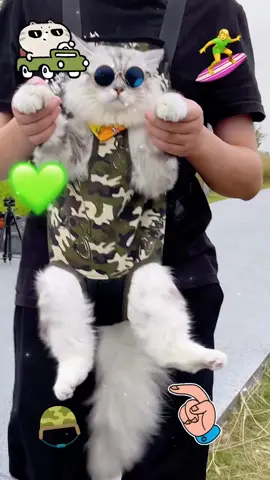 Pet backpack #backpack #bags #cat #PetsOfTikTok #falldealsforyou #usa_tiktok #cool #foryoupage 