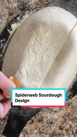 🕸️🕷️This loaf was fun to design. I love how the web turned out.  I use organic all-purpose Kamut flour. This Ancient Grain is a pure strain grain that has never been genetically modified.  Kamut is delicious, nutritious, best texture, best digestibility! As someone who is gluten intolerant- i can actually eat this 🙌 #sourdoughbaking #sourdoughscoring #halloweenlook #sourdoughtok #breadtok #breadscoring 