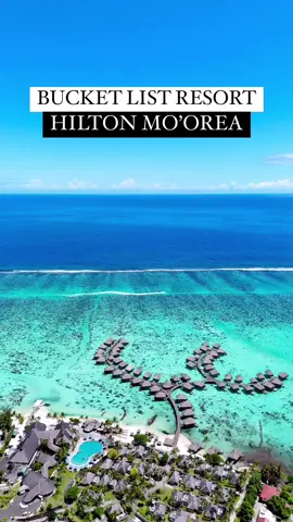 Its like staying in an aquarium 🥰🥰🥰 #tiktoktravel #abcxyz #tropicalplaces #frenchpolynesia #hiltonhonors #hiltonmoorea #hiltonhotels 