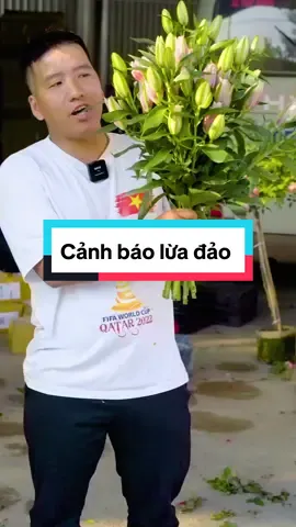 Củ ly kép về rồi nhé #hoahongmelinh 