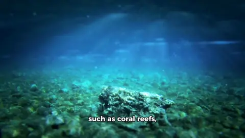 Ocean acidification refers to the process by which the world’s oceans become more acidic due to the increased absorption of carbon dioxide (CO₂) from the atmosphere. As CO₂ levels in the atmosphere rise, much of it is absorbed by the oceans, where it reacts with water to form carbonic acid. This lowers the pH of seawater, making it more acidic. One of the most significant effects of ocean acidification is on marine organisms that rely on calcium carbonate to build their shells and skeletons, such as coral reefs, mollusks, and some plankton. Acidic waters reduce the availability of carbonate ions, which are essential for the formation of calcium carbonate structures. As a result, these organisms struggle to grow and maintain their shells, making them more vulnerable to predation and environmental stress.  