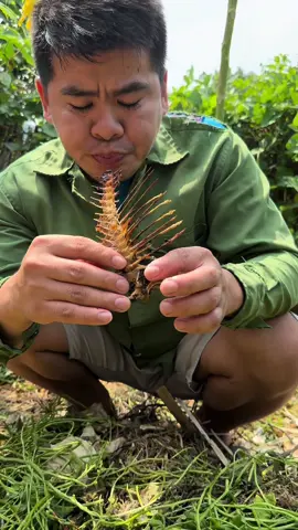 Đúng là một ngày gặp may thật đấy 