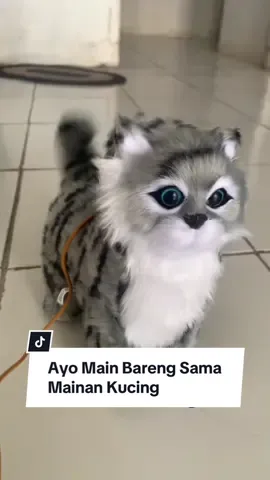Mainan Boneka Kucing Gerak #mainanbonekakucinggerak #bonekakucinggerak #bonekakucing #mainankucing 