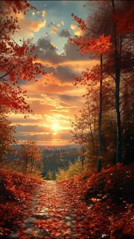 Fall beauty#autumn #fall #nature #healing #naturesounds #fyp 