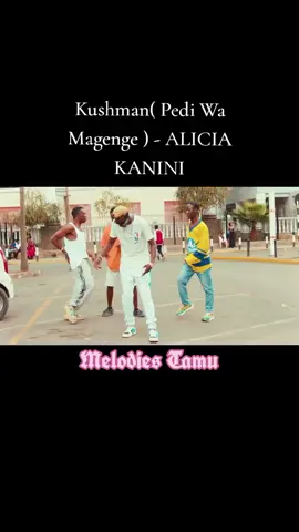 Stingo ni za? ALICIA KANINI by Kushman Pedi Wa Magenge OUT NOW  #melodiestamu #kenyantiktok #tiktoktanzania🇹🇿 #fyp 