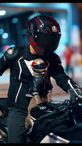 😽😽#motorcycle #bike #fyp #helmet #foryou #cat #miss 