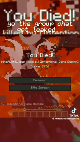 Ey yo come look at this (sleeped in nether) #memes #hahahahahaha #funnyvideos #tiktokfunny 