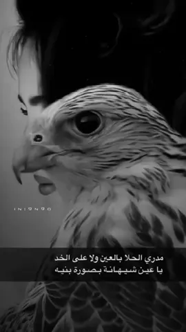 #قصايد_شعر_خواطر#اكسبلورexplore#فعلا👌❤❤#cupcut 