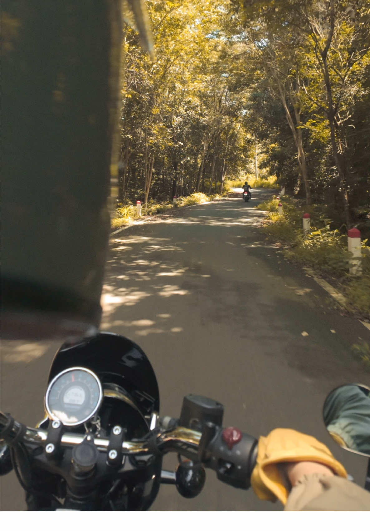 Cách SG tầm 2 tiếng thôi mà có một tuyến đường chạy trong rừng cứ ngỡ như đang ở Úc #phuot #pkl #vietnamtoiyeu #culinaryfrank 