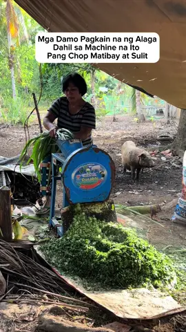 Sulit Ang Pangchop ng Damo May Pagkain na Ang mga Alagang Baboy Kambing Manok at Pabo #choppingmachine #shreder 