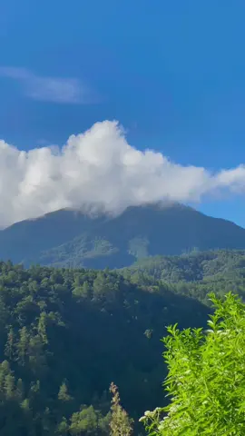 Indah pemandangan gunung prau saat di selimuti awan 🍃 #gunungprau #pemandanganalam #jalurdieng 