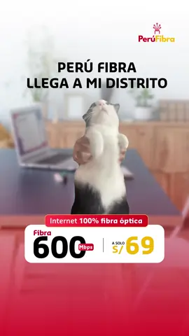 Perú Fibra ya llegó a los distritos de Ate, Carabayllo, Comas, Puente Piedra, San Juan de Miraflores, Villa María del Triunfo, San Martín de Porres y muchos más.⚡😉 Comenta 