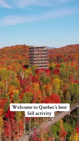 #paisaje #LIVEhighlights #viral #trending #typ #fyp #explore #solo #only #wow #voyage #geography #montreal #quebec #canada #relax #belleza #parc 