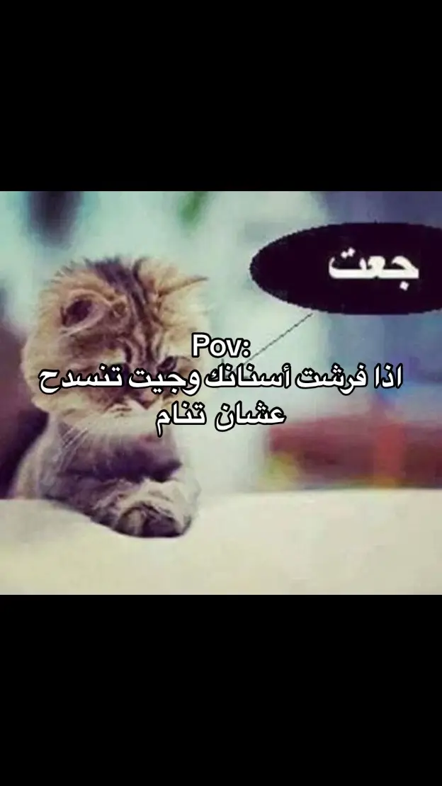 #fyp #fypシ #explore #viral #اكسبلور #رياكشن #الشعب_الصيني_ماله_حل😂😂 #foryou 