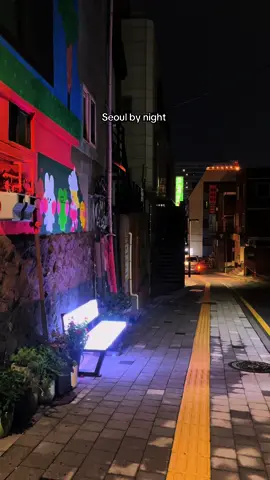 Nights in Seoul is such a vibe ✨ #seoul #seoullife #seoulatnight #southkorea #coreedusud #CapCut 