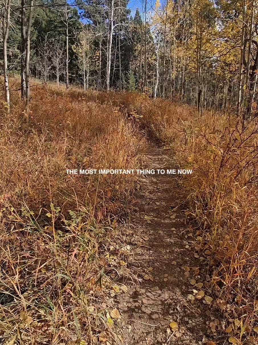 The most important thing in life is you. Taking care of yourself mentally, emotionally, and physically is key to everything else. Self-care isn’t selfish; it helps you show up better for others. Your worth comes from within, so prioritize yourself and watch your life thrive. #capcut #selflove #Natureislove #loveyourself 