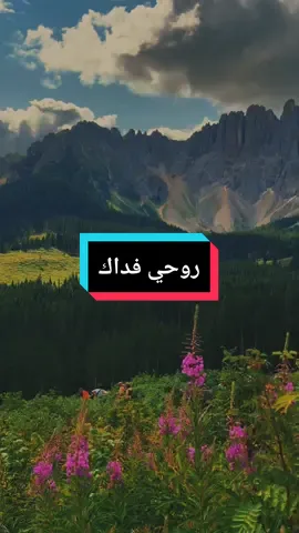..وحلفت اني لا أخون #fyp #foryou #ستوريات #انشودة #روحي_فداك 