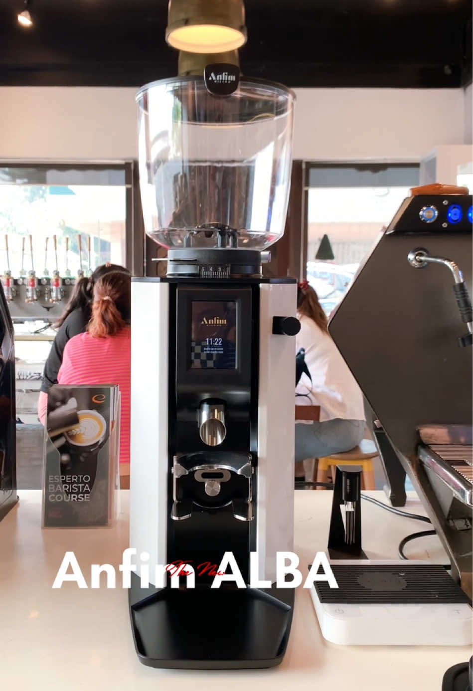 Introducing Anfim Alba Professional espresso grinder for Coffeeshop/Cafe.  Dm me for details!  #coffee #coffeetiktok #cafe #coffeeshop #coffeeequipment #anfimgrinder 