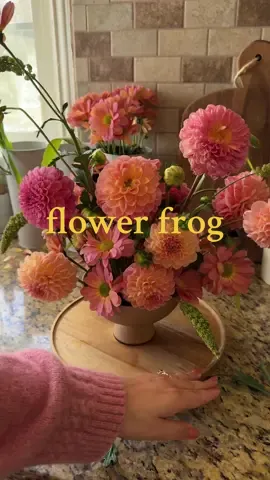 i originally went into the store expecting to bring home blooms in a more typical fall color palette, but these beautiful dahlias stopped me in my tracks ✨ who says you can't enjoy pink + peachy flowers in october? 🙂‍↕️ #flowerfrog #floralarrangement #dahliaseason #dahlia #flowerlover #fallflowers #diyflowers #flowerarrangement #floraldesign 