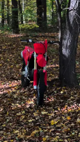 Sexy red #dirtbike #edit #honda #crf #crf250r #fyp #viral_video #daily_dirtbike_edits #dirtbikeedit 