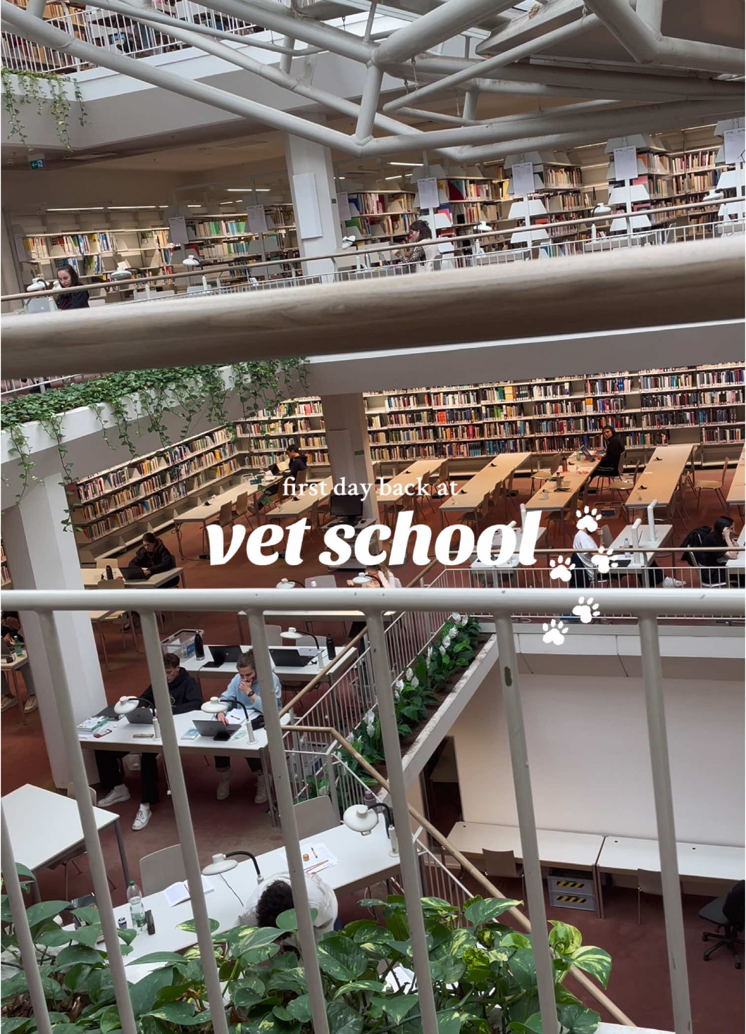 ngl i actually kinda missed it 👉👈 - #tiermedizin #tiermedizinstudium #studium #studieren #studytok #dayinthelife #dayinmylife #unilife #studentlife #university #college #vetmed #vetstudent #vetschool #backtouni #veterinarymedicine 