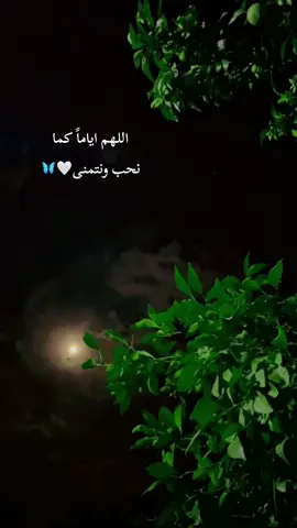 اللهم اياماً كما نحب ونتمنى🤍🦋
