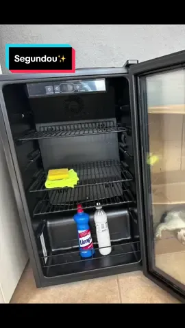 Limpeza Cervejeira✨✨ #segundou #limpeza #lavagem #cervejeira #limpezacervejeira #diaadia #tiktok #viralizar 