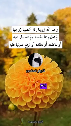 رحم الله #زوجة إذا أغضبها #زوجها لم تعايره بما ينقصه ولم تتطاول عليه أو تناطحه أو تعانده أو ترفع صوتها عليه