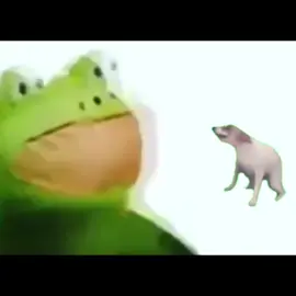 Day 118... #dogdance #dancedog #meme #dog #dogsoftiktok #nadietepregunto #solpereyra #rock #lunes #monday 