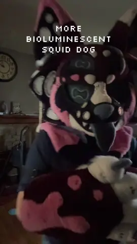 Light up squid puppy is excited for halloween 🎃#PoolPero #fursuiter #FurryTikTok #furrycommunity #SquidPuppy #SquidDog #XoranTheDino #Squidfursuit #foryoupageofficiall #fffyyyyyyyyyyyypppppp #fyp #fyp #fyp #fyp #fyp #furryfandom #furry #canininefursuit 